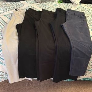 5 dress pants